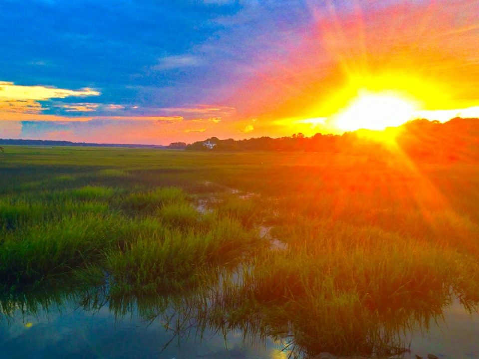 bright sunset in marsh