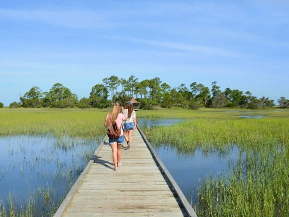 women walking on boardwalk in marsh area