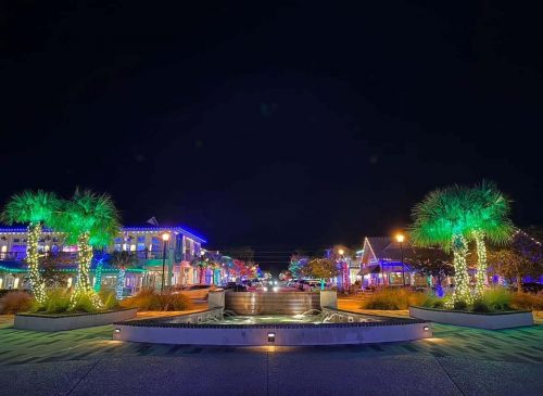 Palm trees wrapped in holiday lights around a fountain at night