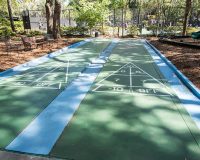 Shuffleboard