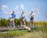 Bike and Explore