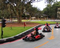 GoKarts