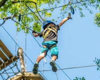 Zipline Tour