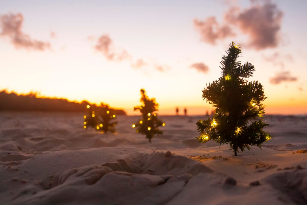 Small Christmas trees with lights on a sandy beach at sunset